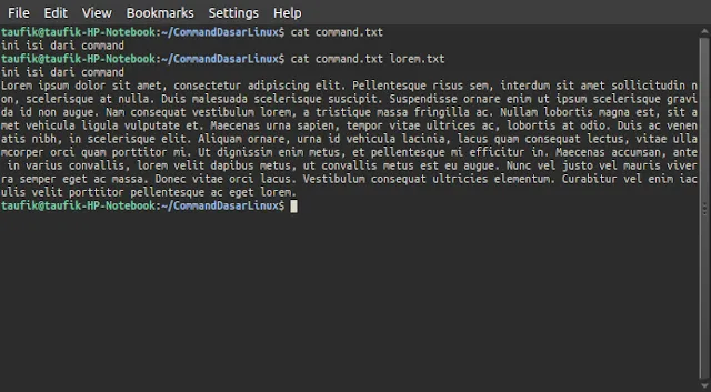 Basic Commands on Linux You Should Know