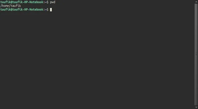 Basic Commands on Linux You Should Know