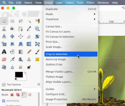 How to Crop an Image With GIMP - Third